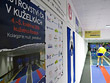 Mistrovství ČR mužů 2013 (Rosice)